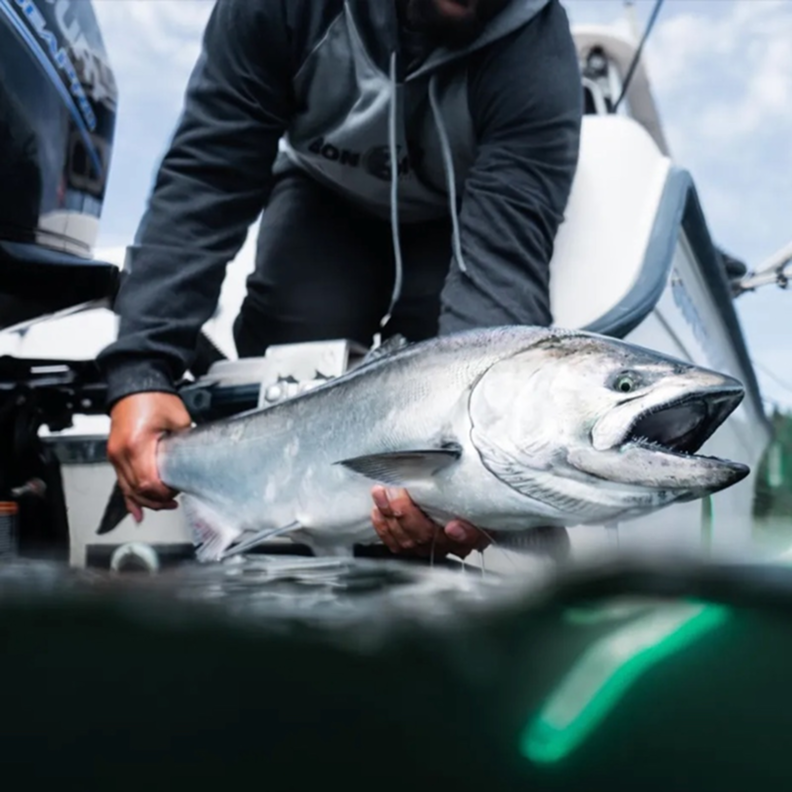 Find a BC Fishing Trip