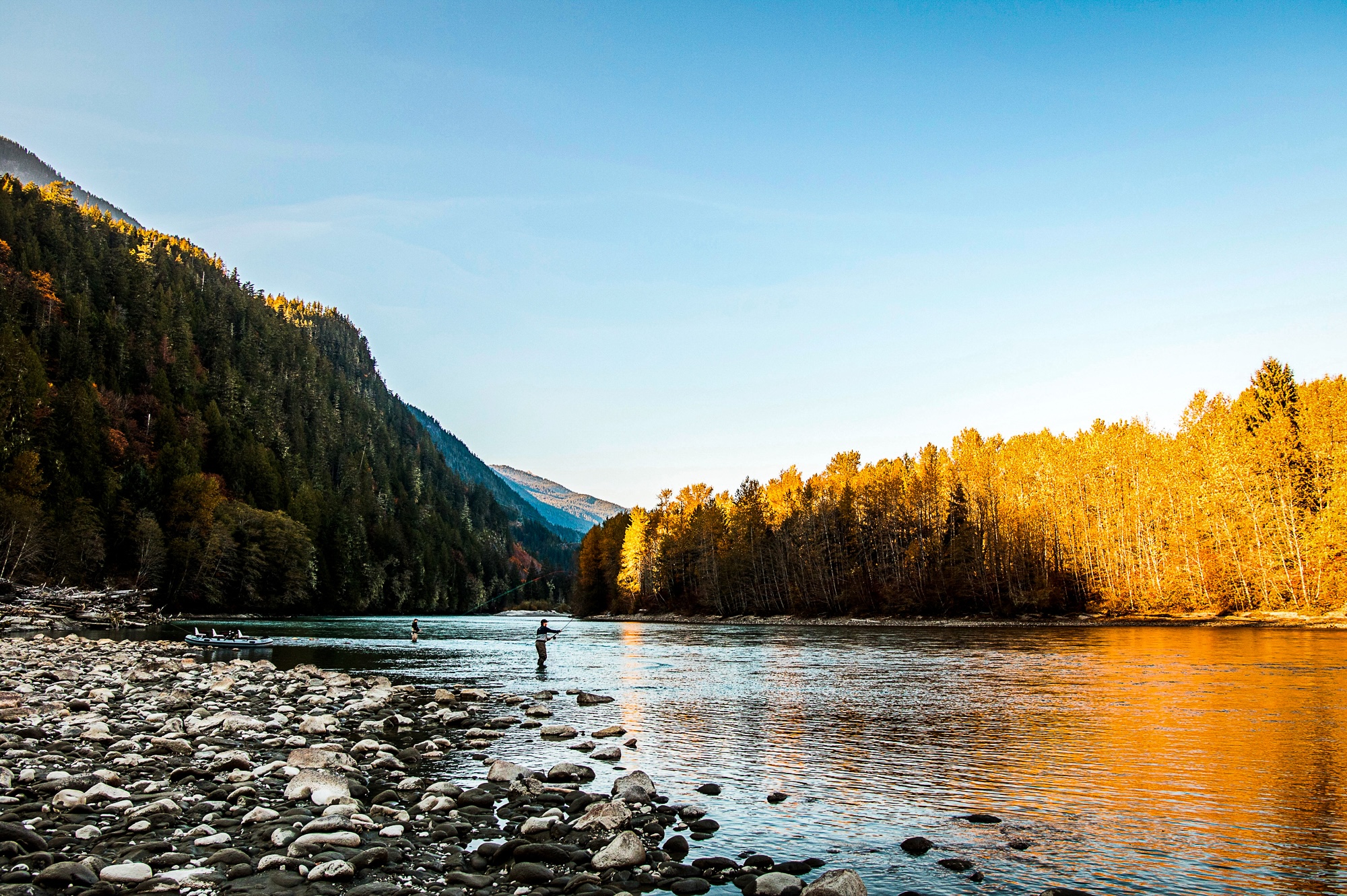Fall fly fishing in BC