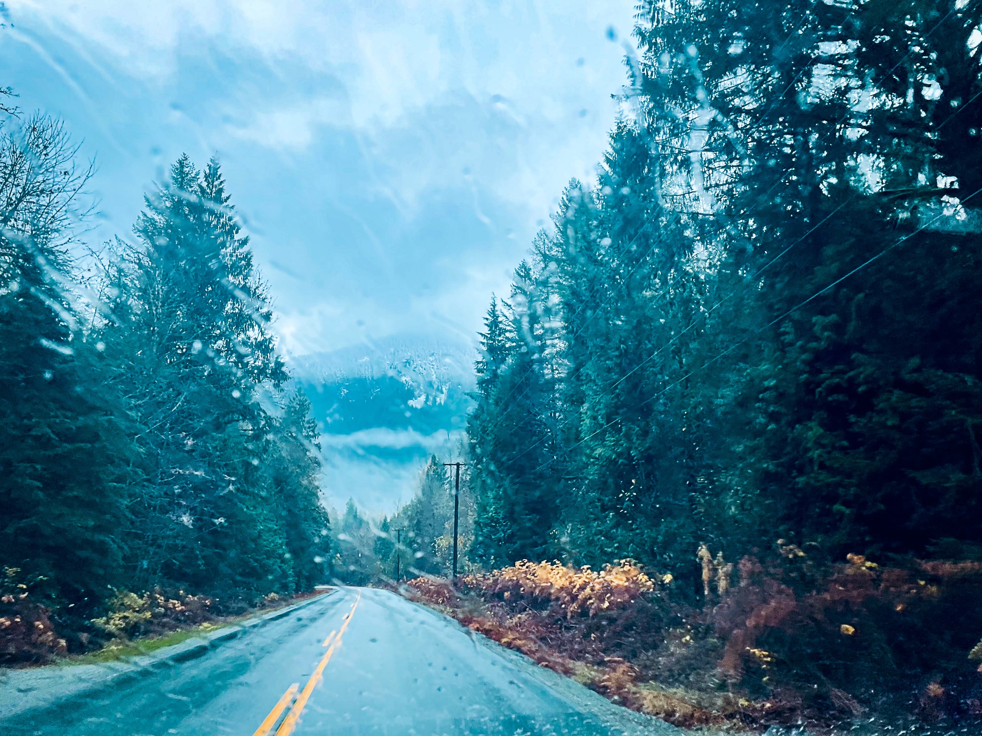 Fall fly fishing in BC