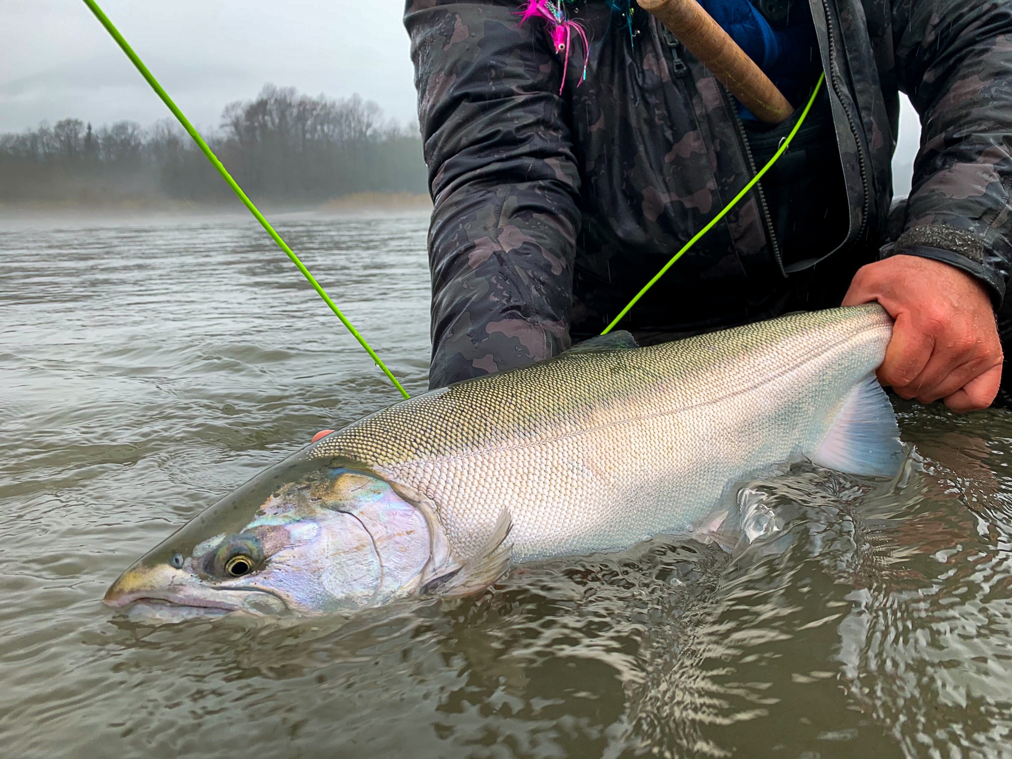Fall fly fishing in BC