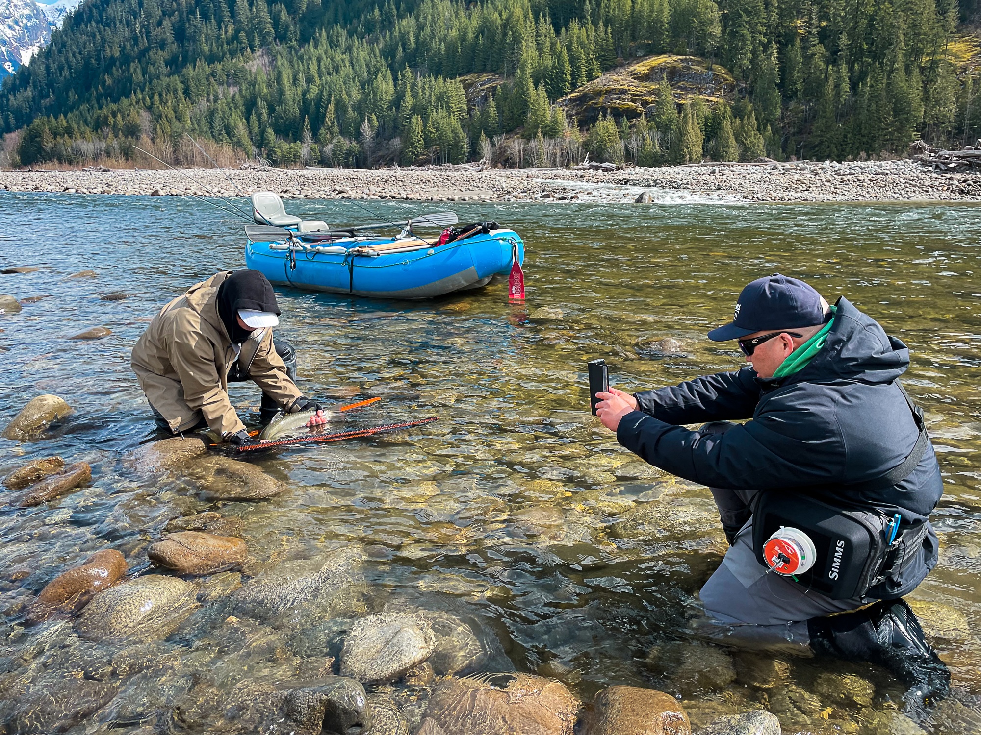 Spring fly fishing in BC