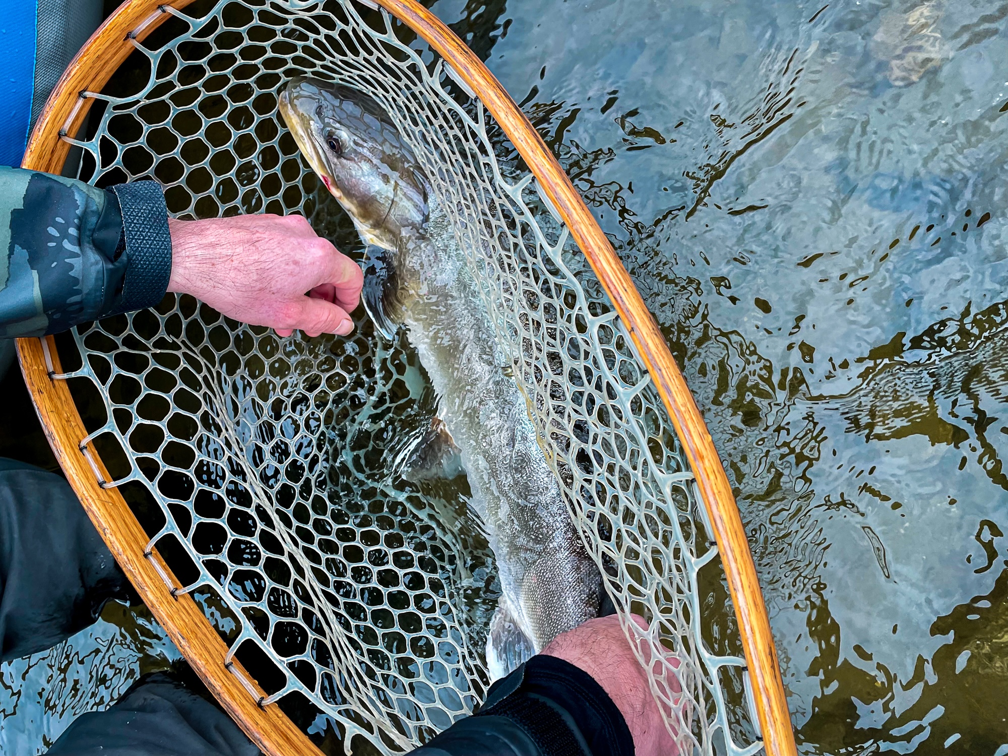Spring fly fishing in BC