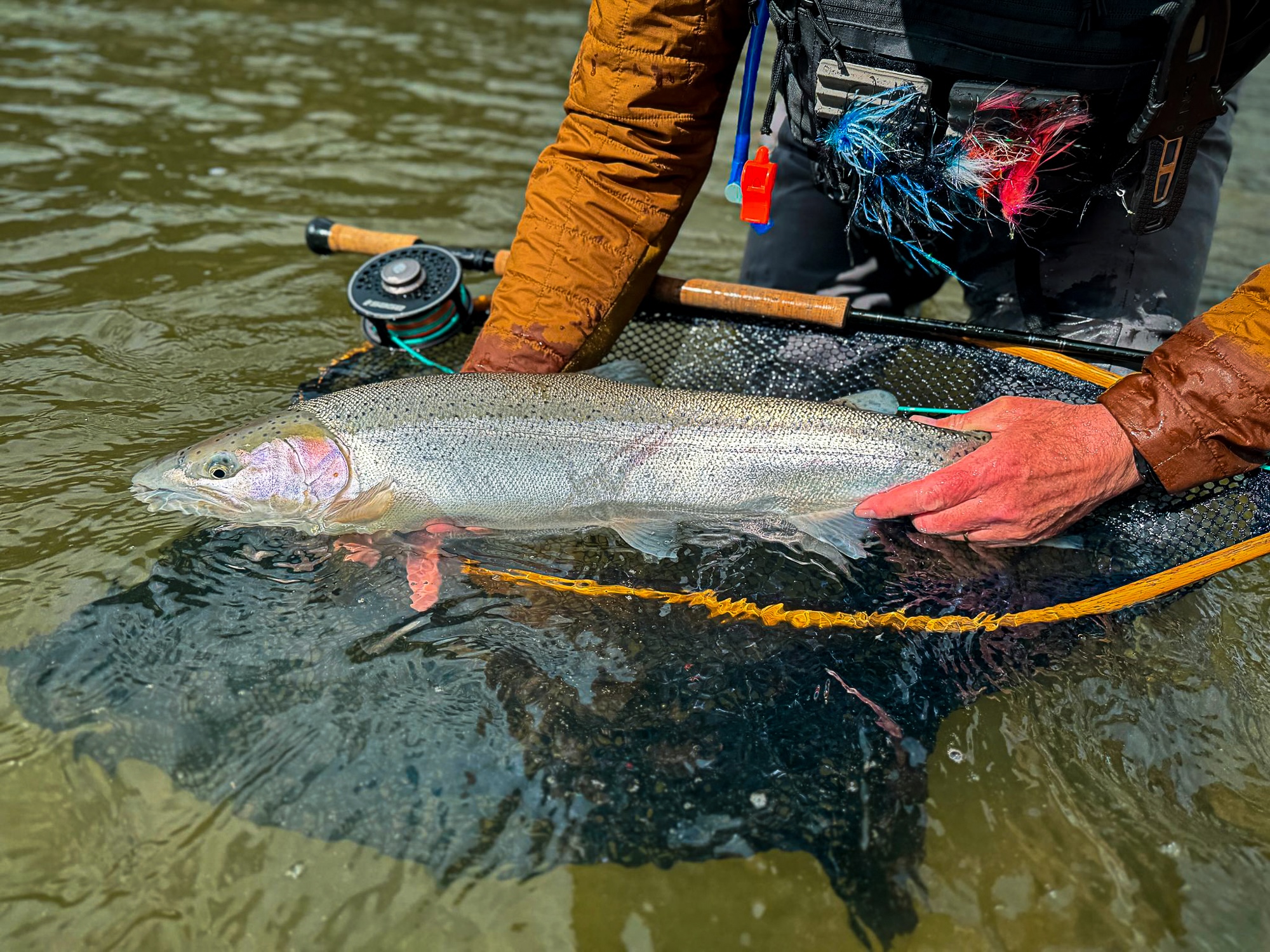 Spring fly fishing in Squamish