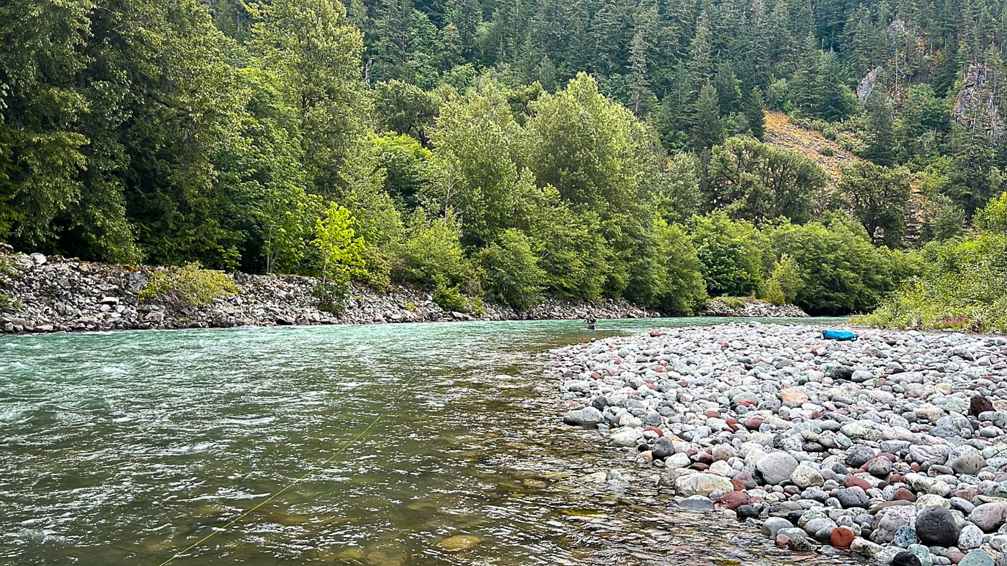 Summer fly fishing in BC