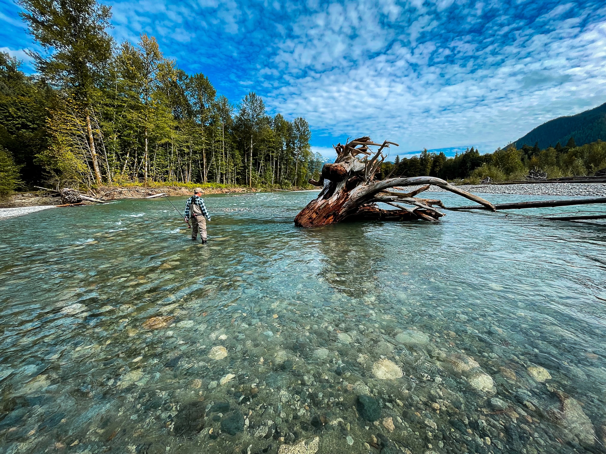 Fly fishing near Vancouver
