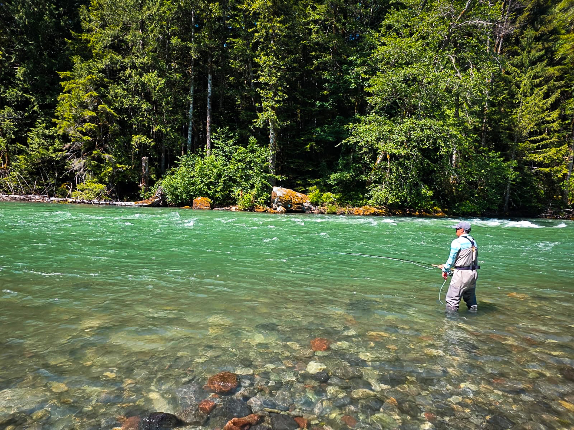 Fly fishing near Vancouver