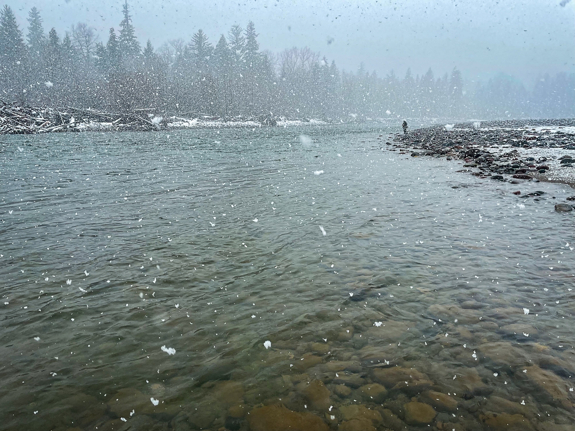 Winter fly fishing in BC