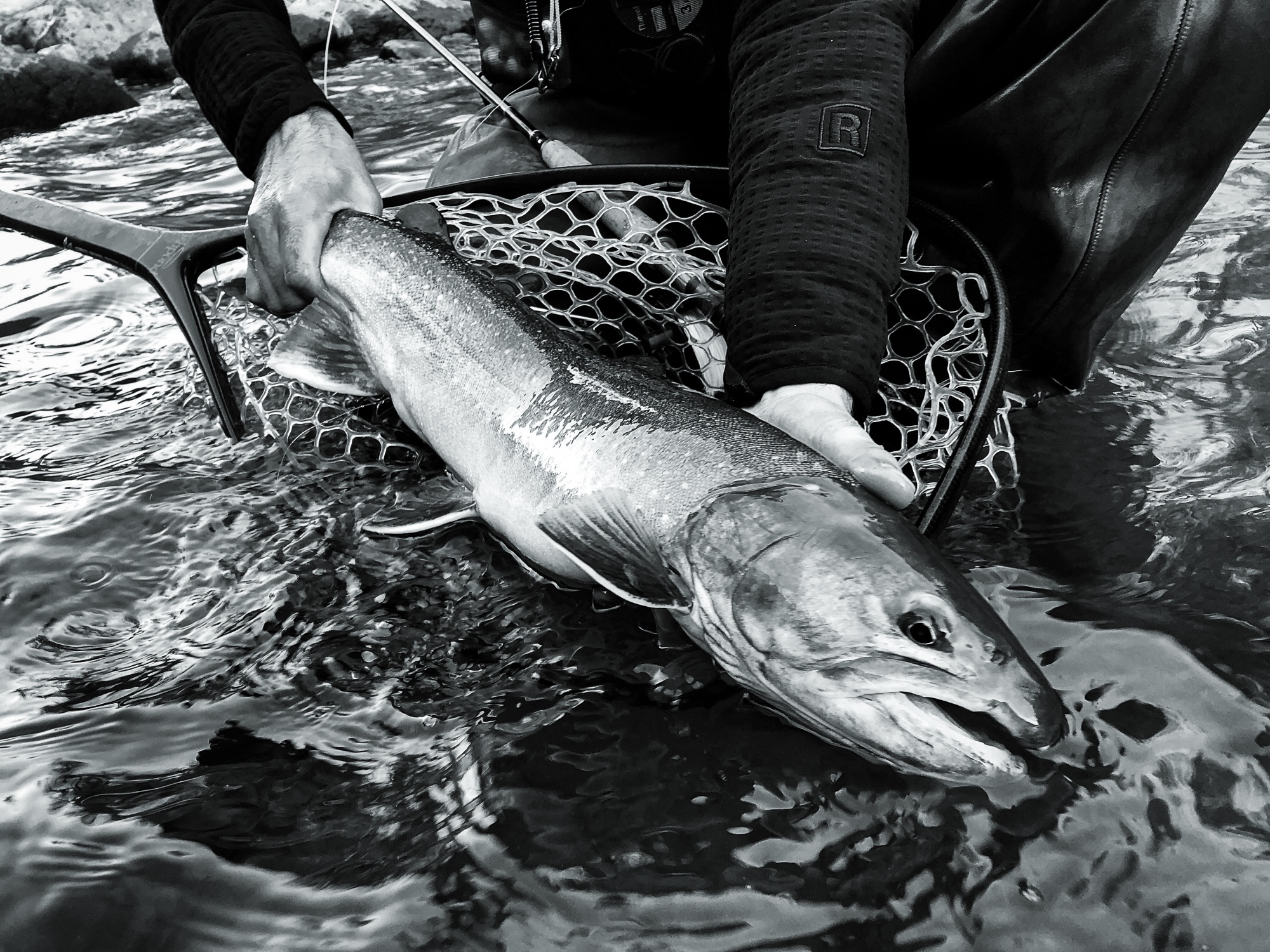 Winter fly fishing in BC
