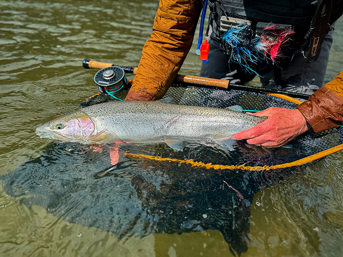 Fishing licence info