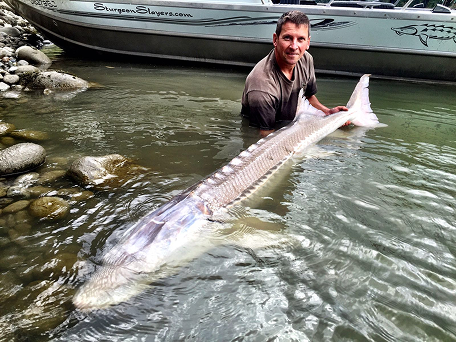 Fraser River sturgeon fishing