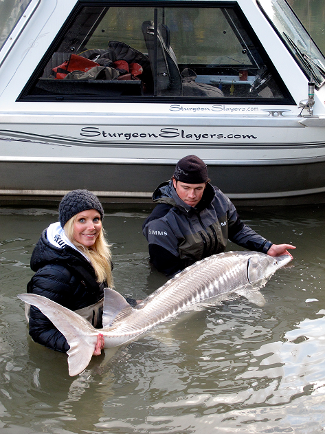 Fraser River sturgeon fishing
