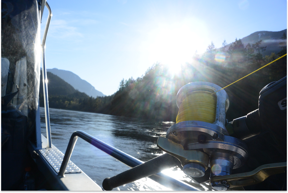Fraser River sturgeon fishing