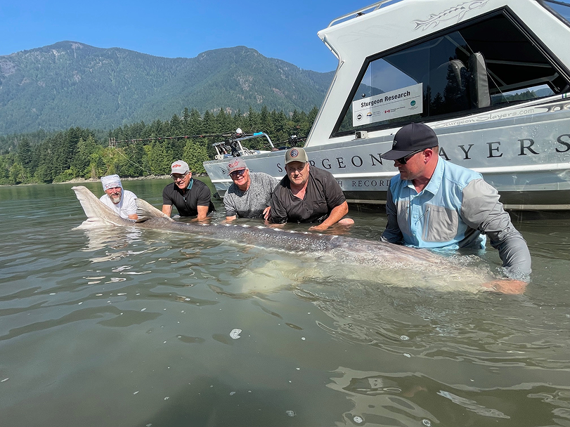 Chilliwack sturgeon fishing