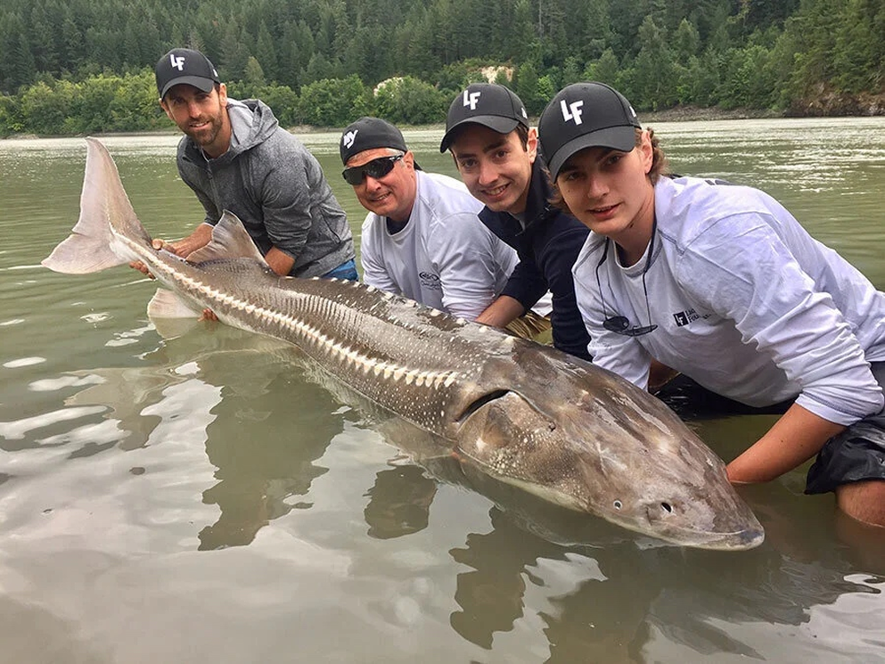 Fraser River Sturgeon Fishing