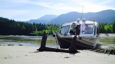 Fraser River sturgeon fishing