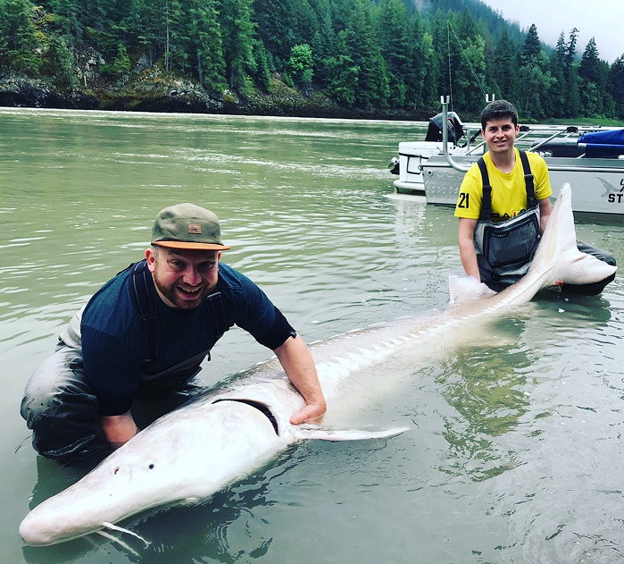 Fraser River sturgeon fishing
