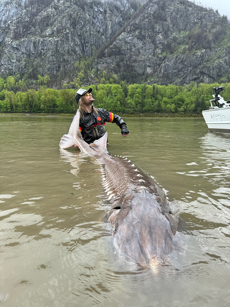 Fraser River sturgeon fishing