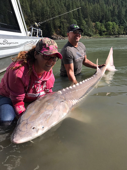 Fraser River sturgeon fishing