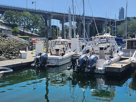 Vancouver salmon fishing