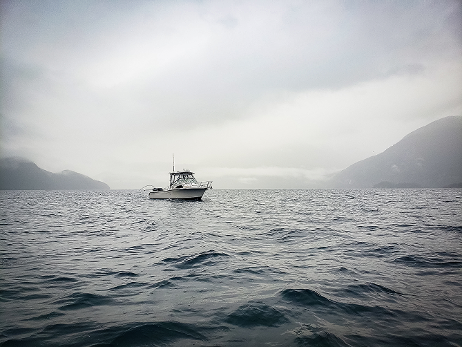 Vancouver salmon fishing